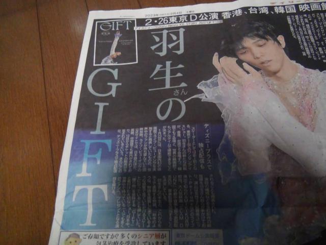 HGIFT̐VL2023N24(y)ViIB  zr[ 