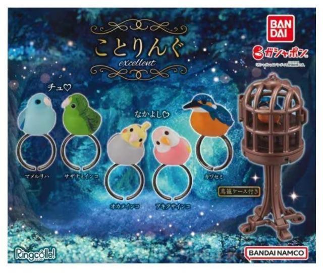 y`OzK`K`wƂ񂮁[UP[Xt[xTUi~CR  zr[ 