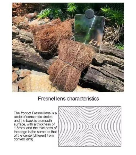 ዾ@g勾@\[[@t@C[@X^[^[@΋N@C^[@AEghA@Lv@ToCo@W@_  80  W[/X|[c 