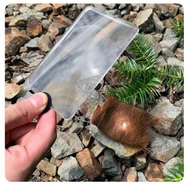 ዾ@g勾@\[[@t@C[@X^[^[@΋N@C^[@AEghA@Lv@ToCo@W@_  80  W[/X|[c 