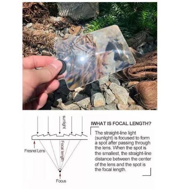 ዾ@g勾@\[[@t@C[@X^[^[@΋N@C^[@AEghA@Lv@ToCo@W@_  80  W[/X|[c 