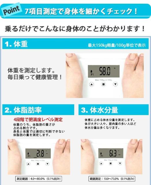 *23mm ̑gv KX A4TCY ₷  J[L  wX/r[eB[ 