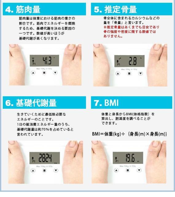 *23mm ̑gv KX A4TCY ₷  J[L  wX/r[eB[ 