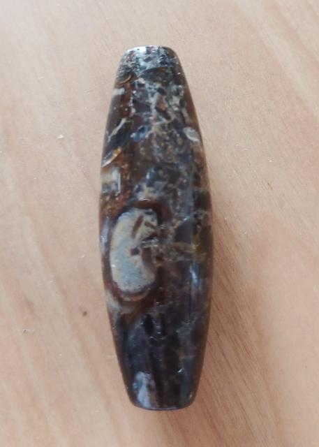 チベット 法螺天珠 < ペット/手芸/園芸  チベット 法螺天珠 < ペット/手芸/園芸の