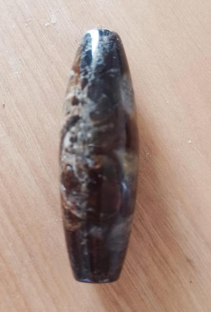 チベット 法螺天珠 < ペット/手芸/園芸  チベット 法螺天珠 < ペット/手芸/園芸の