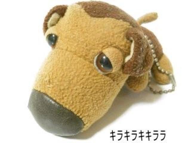 fJ*AbvR()ʂ/{[`F[L[z_[    