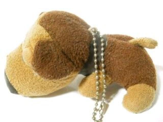 fJ*AbvR()ʂ/{[`F[L[z_[   