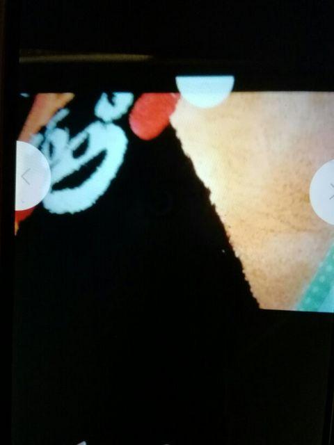 クまモんといレまっと55×60pおれんじ系 < アニメ/コミック/キャラクター  クまモんといレまっと55×60pおれんじ系 < アニメ/コミック/キャラクターの