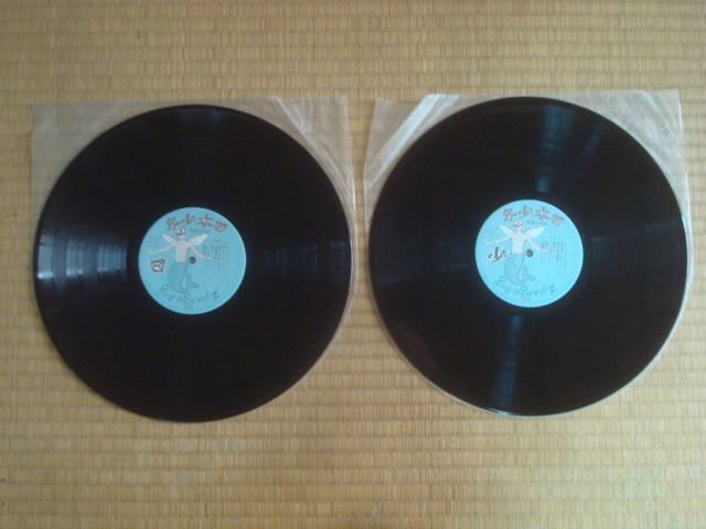 yѕt2LPz{NiZIPANGU BOYj / X@@  CD/DVD/rfI 