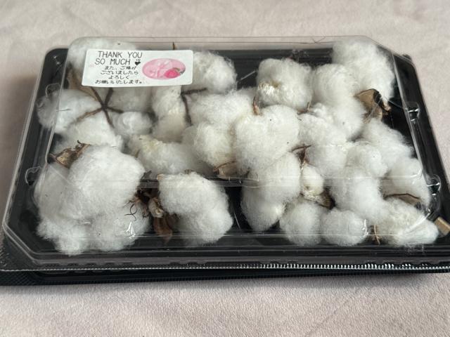 �ȉ� �R�b�g���t�����[ �� 11�� �z���C�g�R�b�g���̃h���C�t�����[�@��t�� �� �y�b�g/��|/���|�� 