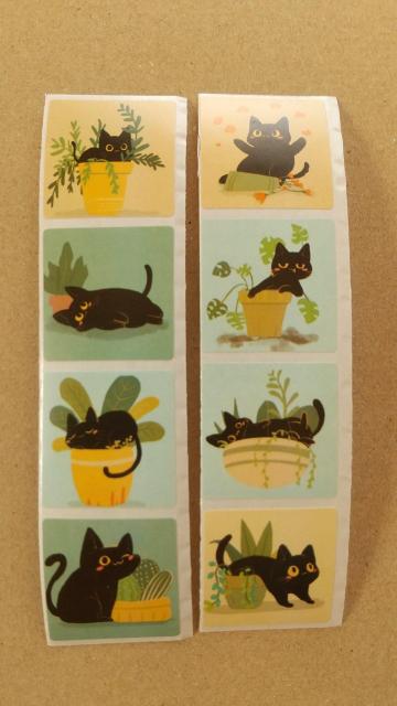 �A���ƍ��L�����@�l�p���V�[���@�W���W���@ �� �C���e���A/���C�t�� 