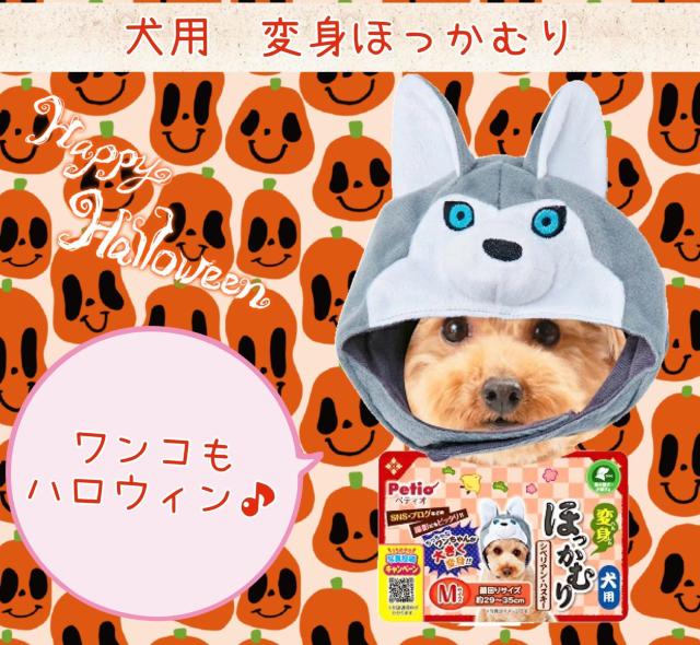 p񁚂قނ聚ϐgObYVxAnXL[nEBybgpObYybgVigp   ybg/|/| 