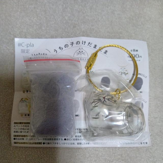 ̎q̂܂ Tog K` JvZgC Ki    zr[ 