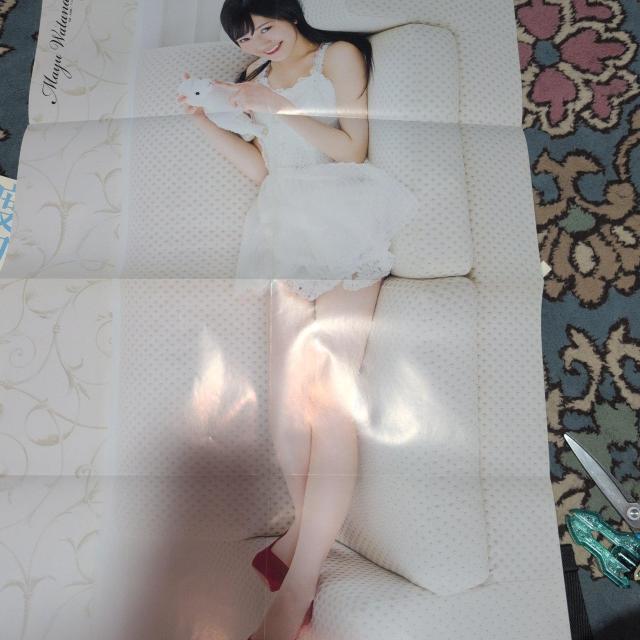 �|�X�^�[�@�n�Ӗ��F&���ؗR�I �� �^�����g�O�b�Y�� 