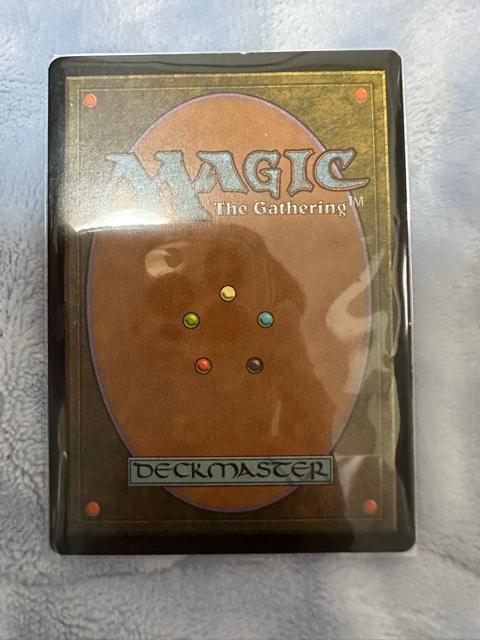 MTG セラの聖域 < トレーディングカード MTG セラの聖域 < トレーディングカードの