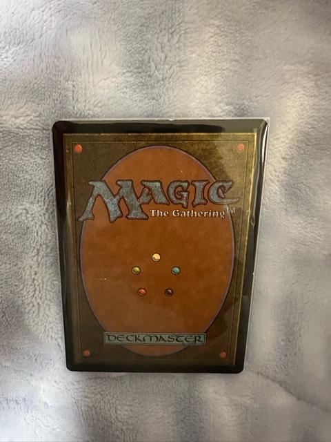 MTG セラの聖域 < トレーディングカード MTG セラの聖域 < トレーディングカードの