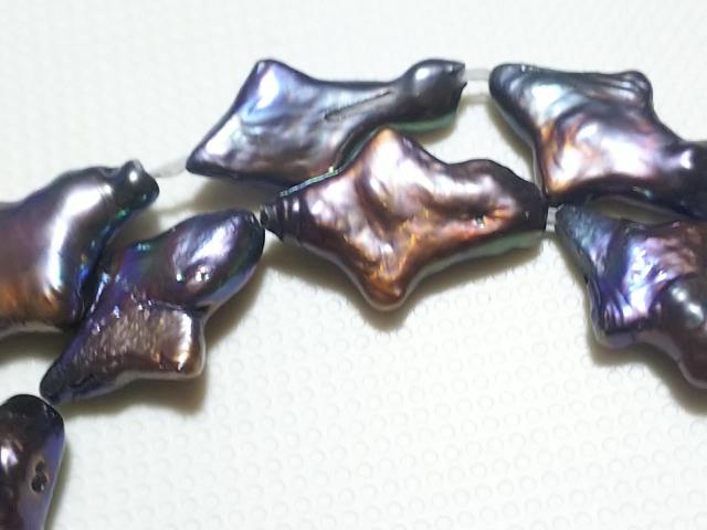 �V�R�΁��W���p�[���i�s�[�R�b�N�j�@�Ђ��`�@�P�A �� �����A�N�Z�T���[/���v�� 