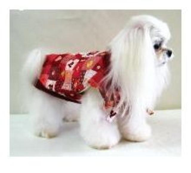 ANNY'S DOGS Ղ 񂿂 AS (S`M) u[Vi  ybg/|/| 