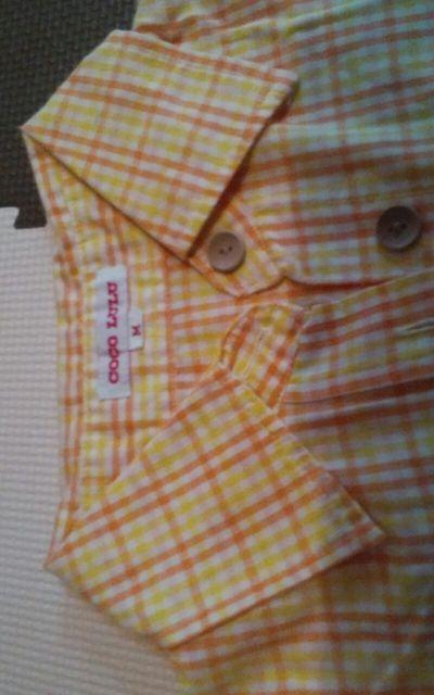 COCO LULUlTCY@i@CG[`FbN  t@bV 