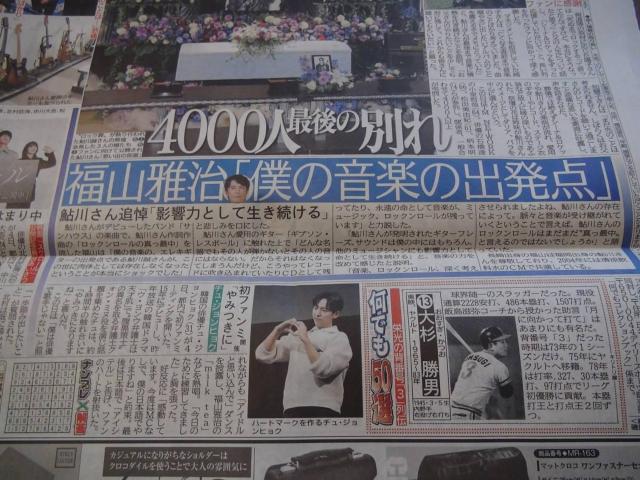 쐽񂲐25()fC[X|[cV Vi !B  zr[ 