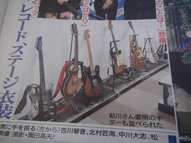 쐽񂲐25()fC[X|[cV Vi !B  zr[ 