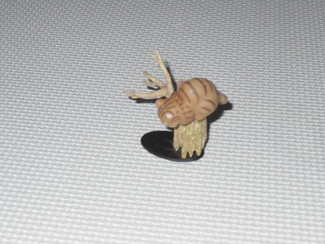 l`̍̃AX AX̃tBMARNV `FVL  zr[ 