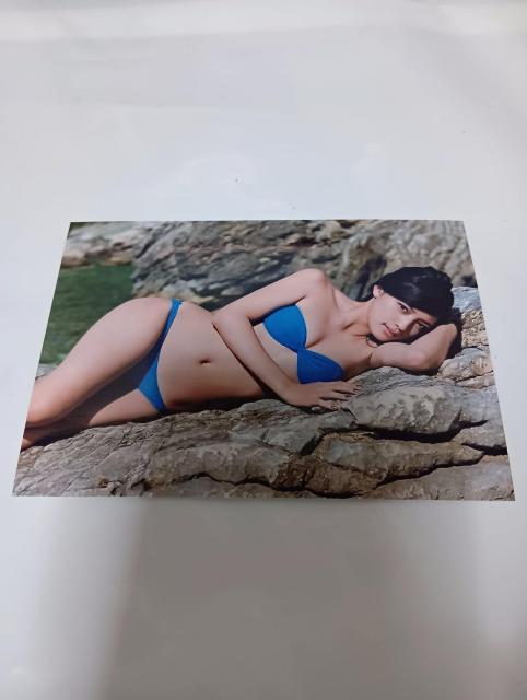 川口春奈写真セット < タレントグッズ 川口春奈写真セット < タレントグッズの