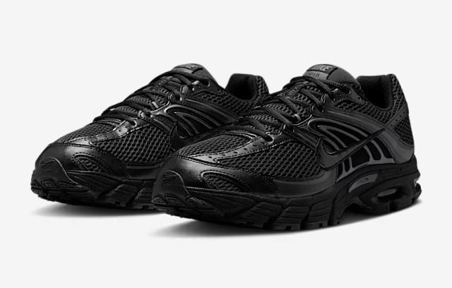 ��NIKE AIR MAX ���g 2K��  �� �u�����h�� 