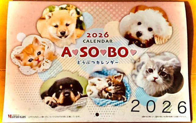 �ǂ��ԂJ�����_�[2026  �� �z�r�[�� 