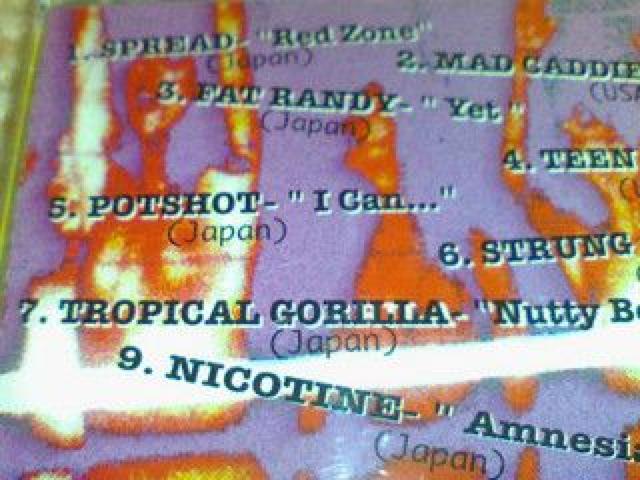 《WANKIN》SPREAD SNUFF NOFX TROPICAL EASY GRIP メロコア ロック パンク スナッフ < CD/DVD/ビデオ  《WANKIN》SPREAD SNUFF NOFX TROPICAL EASY GRIP メロコア ロック パンク スナッフ < CD/DVD/ビデオの