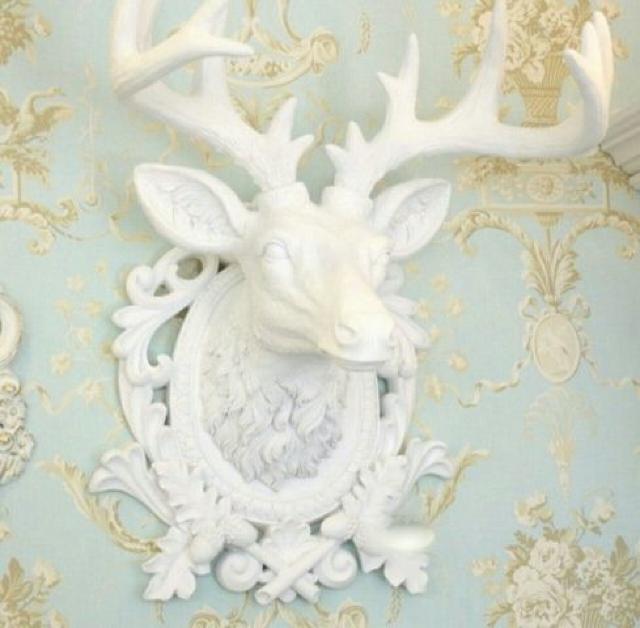 Vi  giJC [t IuWF Ǌ|  RR u    CeA/Ct 