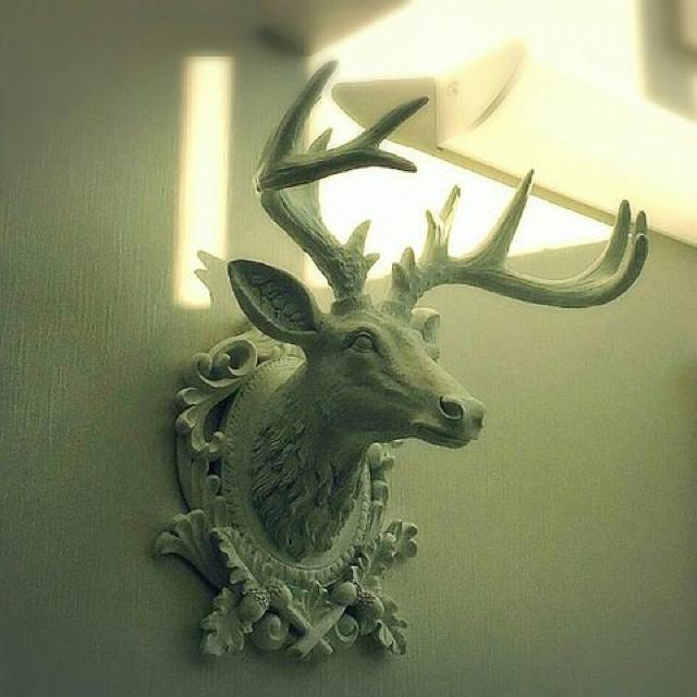 Vi  giJC [t IuWF Ǌ|  RR u   CeA/Ct 