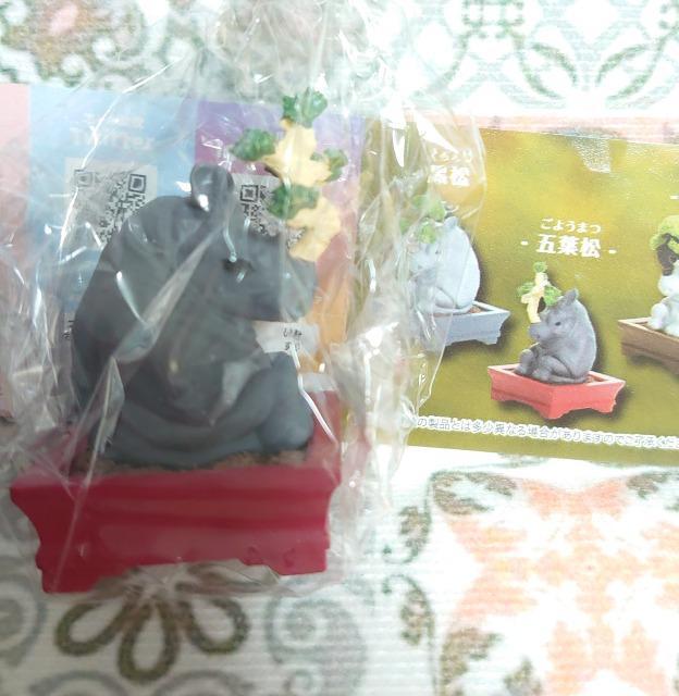 【定形外送料無料】ガチャガチャ○『ダジャレアニマル』3点セット < ホビー 【定形外送料無料】ガチャガチャ○『ダジャレアニマル』3点セット < ホビーの