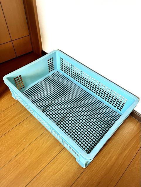 Rei  v [ {bNX  P[X ꕨ u ԗpi oCNpi q _ n  ʕ K[fjO   CeA/Ct 