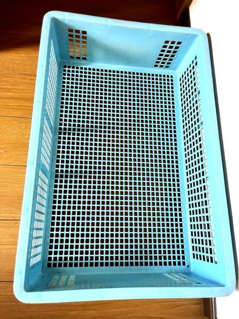 Rei  v [ {bNX  P[X ꕨ u ԗpi oCNpi q _ n  ʕ K[fjO  CeA/Ct 