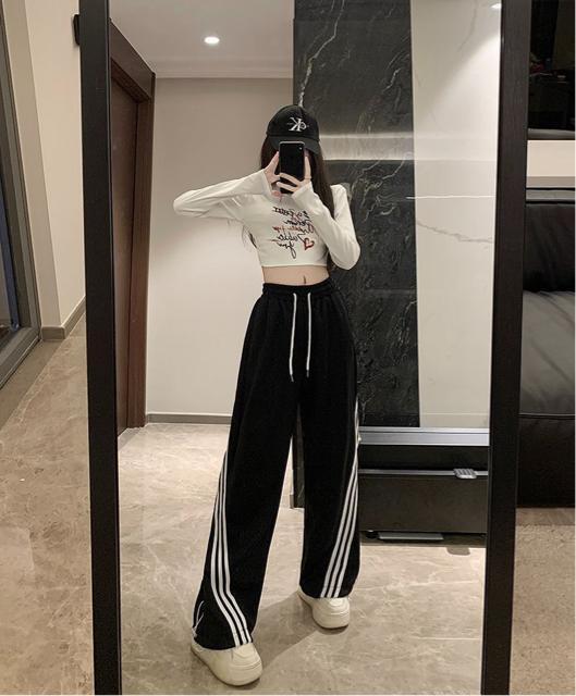 g[i[pc@TCh΂3{C@Si@ubN@傫TCY  t@bV 