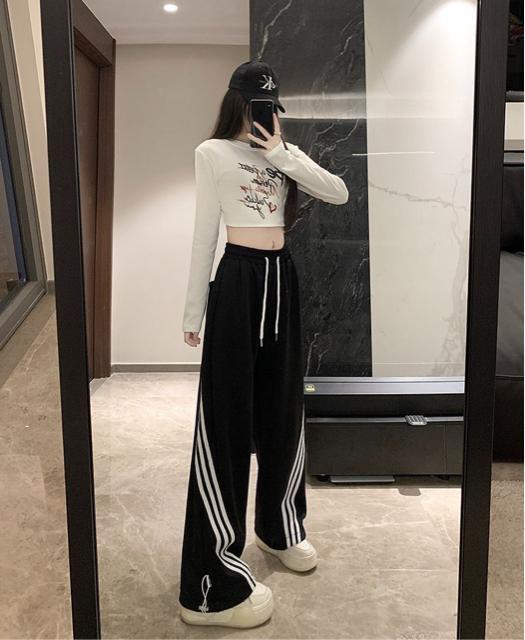 g[i[pc@TCh΂3{C@Si@ubN@傫TCY  t@bV 