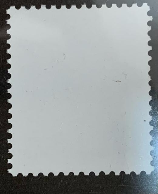 �y���������z���ʐ؎� 50�~ 1�� �V���{�̎��R�F�j�z���J���V�J �� �z�r�[�� 