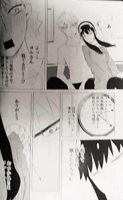 SPY×FAMILY同人誌《ロイド×ヨル》2冊セット < アニメ/コミック/キャラクター  SPY×FAMILY同人誌《ロイド×ヨル》2冊セット < アニメ/コミック/キャラクターの