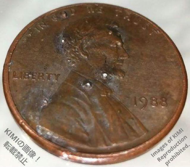 1セント硬貨 1988 アメリカ合衆国 リンカーン 1セント硬貨 1ペニー < ホビー  1セント硬貨 1988 アメリカ合衆国 リンカーン 1セント硬貨 1ペニー < ホビーの