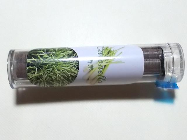 �������������~�j���F�p�@�_�`�����i�������O���X�j