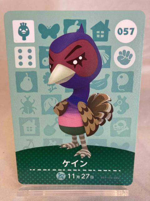 ܂ ǂԂ̐XiXj amiboJ[h PC 