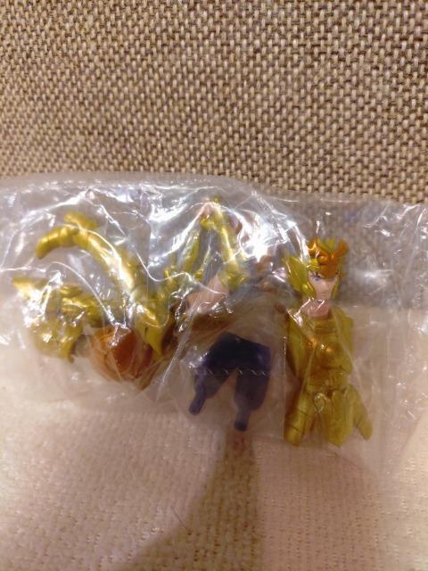 J@m@HGIF CuՁ@2005   Aj/R~bN/LN^[ 