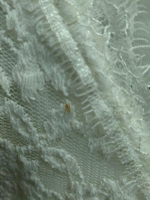 Ank Rouge☆総レース長袖トップス < ブランド Ank Rouge☆総レース長袖トップス < ブランドの