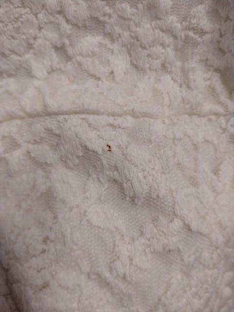 Ank Rouge☆総レース長袖トップス < ブランド Ank Rouge☆総レース長袖トップス < ブランドの