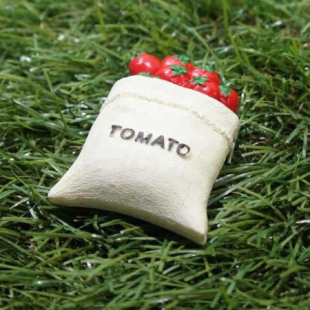 新品【マグネット】Tomato/トマト 採れたてトマト < インテリア/ライフ  新品【マグネット】Tomato/トマト 採れたてトマト < インテリア/ライフの