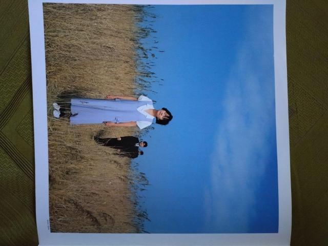 極東慰安唱歌 戸川純バンド LPレコード < CD/DVD/ビデオ  極東慰安唱歌 戸川純バンド LPレコード < CD/DVD/ビデオの