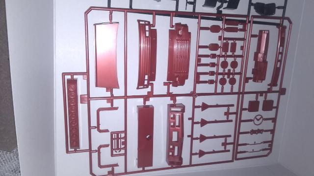 ʔ̔ԒSP01̃htBLrꎮ  zr[ 