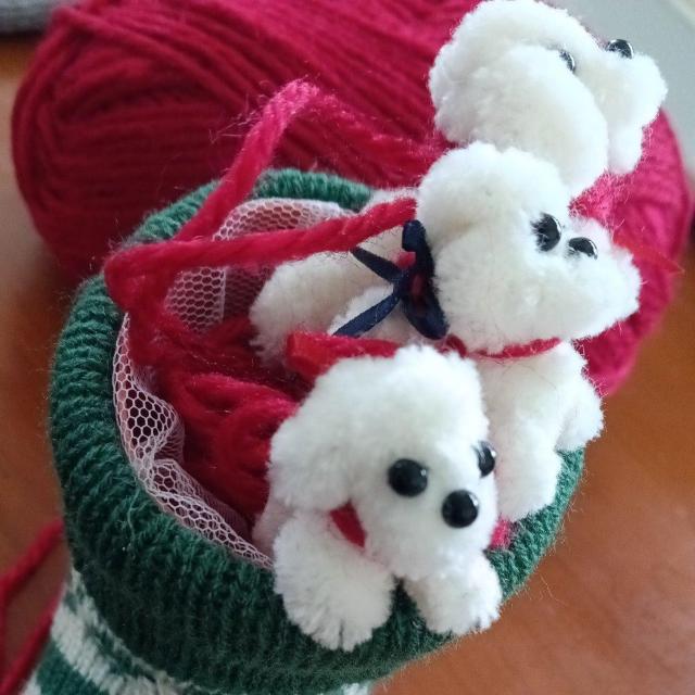 }CNgCv[h3CNX}XZbg  zr[ 