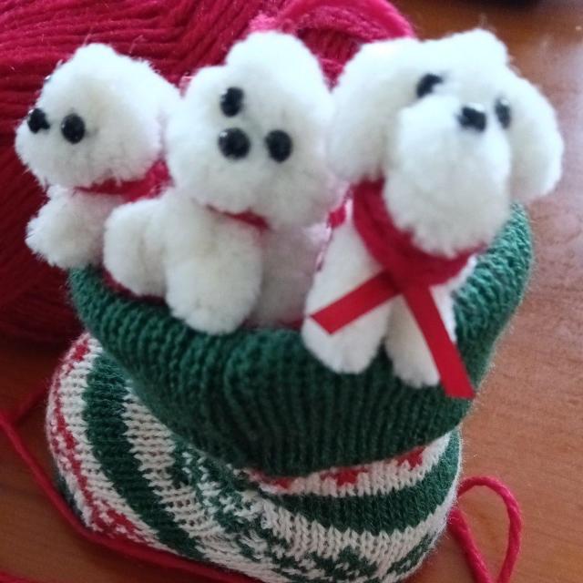 }CNgCv[h3CNX}XZbg  zr[ 